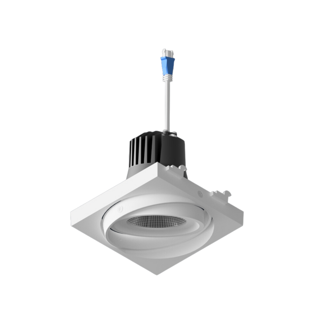 DLV-R Gimbal Single LED Downlight (12-29W P/M)