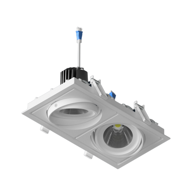 DLV-R Gimbal Double LED Downlight (12-29W P/M)