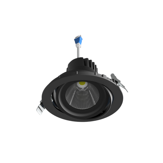DLV-R Gimbal Round LED Downlight (12-29W)
