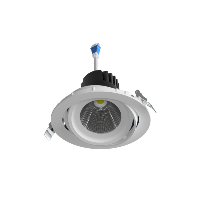 DLV-R Gimbal Round LED Downlight (12-29W)