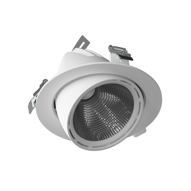 DLV-R Scoop LED Downlight (12-29W)